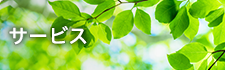 �T�[�r�X���