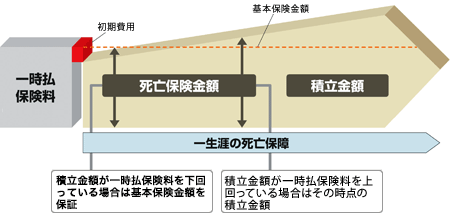 一時払い終身保険のポイント