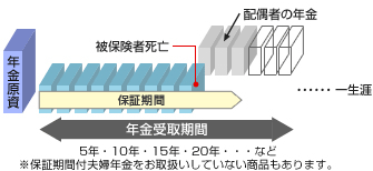 保証期間付夫婦年金