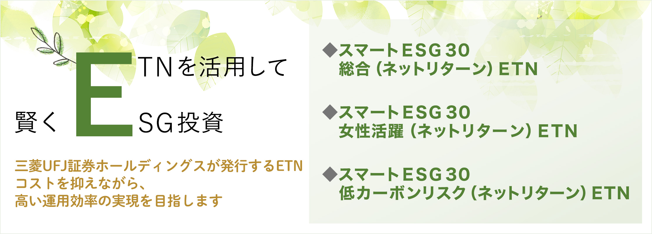賢くETN・ESG投資を活用して 三菱UFJ証券ホールディングスが発行するETNコストを抑えながら、高い運用効率の実現を目指します ◆スマートESG30総合(ネットリターン)ETN ◆スマートESG30女性活躍(ネットリターン)ETN ◆スマートESG30低カーボンリスク(ネットリターン)ETN