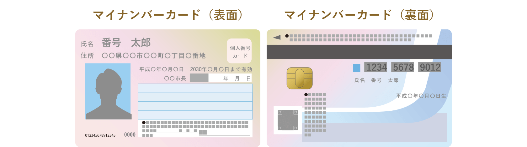 個人番号カード（表面）（裏面）